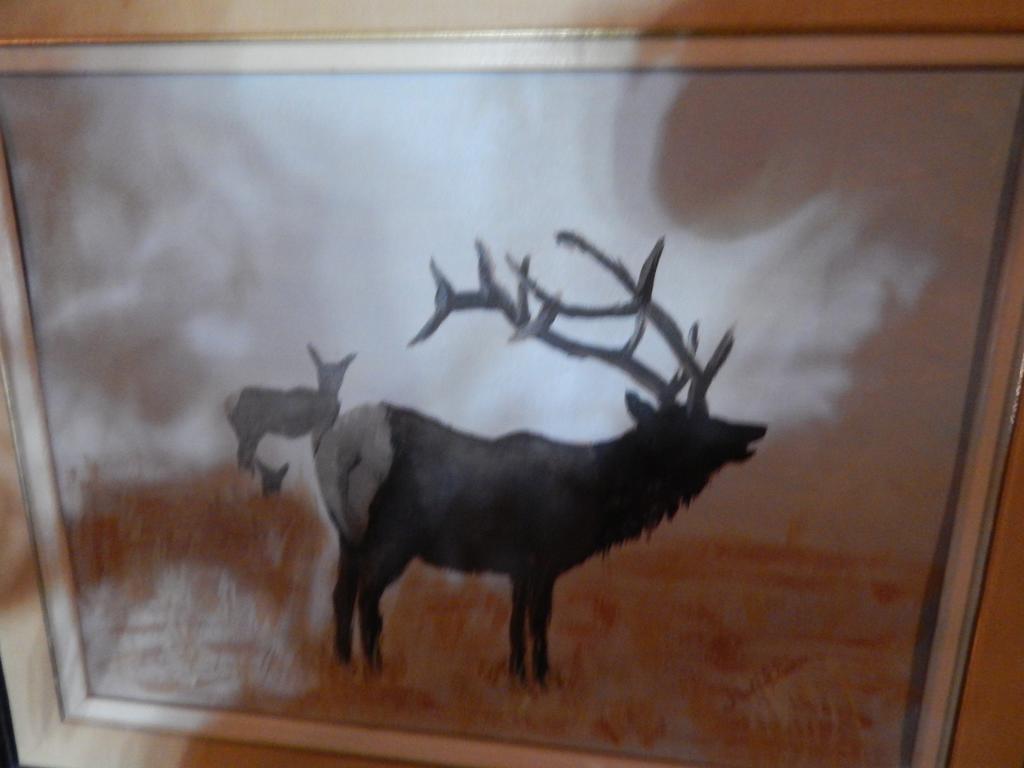 Idle Spurs Log Cabin Bed & Breakfast Black Diamond Exterior foto